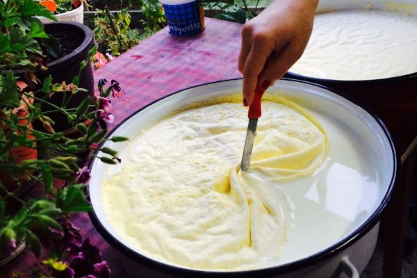 Kajmak workshop in local household